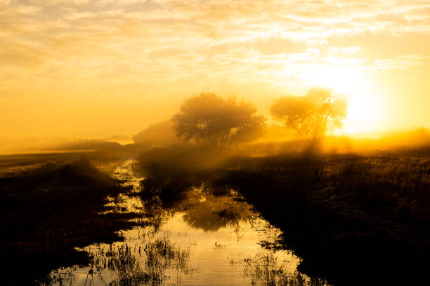 ethereal sunrise - 1045 - new mexico landscape sky ethereal imagens e fotografias de stock