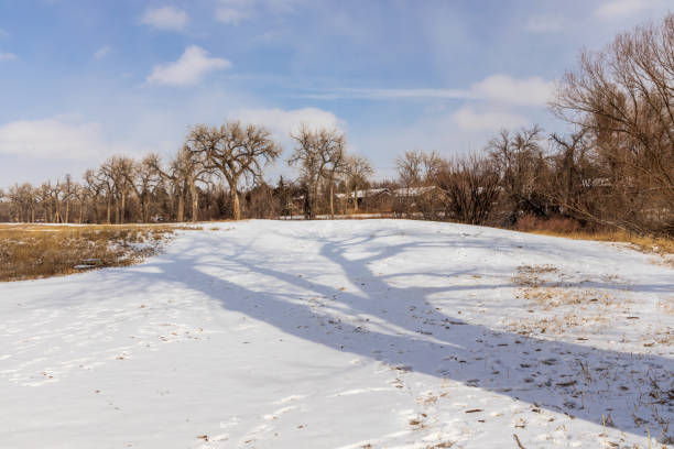 paesaggio invernale a james a. bible park - denver colorado park footpath walking foto e immagini stock