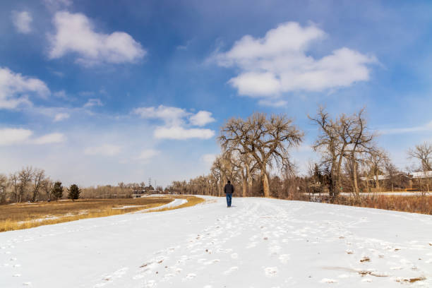 paesaggio invernale a james a. bible park - denver colorado park footpath walking foto e immagini stock