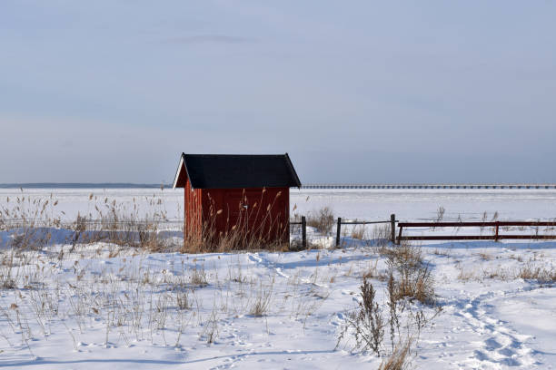 istock Red fishing cabin by the coast 1303708525
