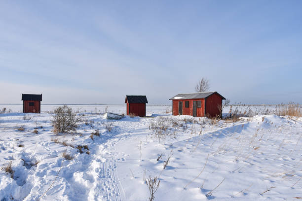 istock Red fishing sheds by the coast 1303708542
