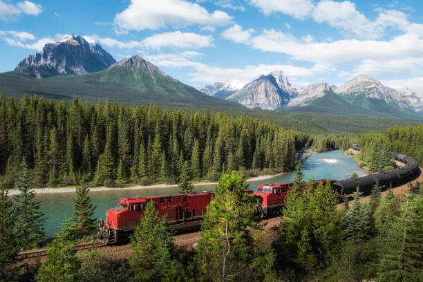 trem passando pela curva morants no parque nacional banff, alberta, canadá - lake louise national park landscape forest - fotografias e filmes do acervo