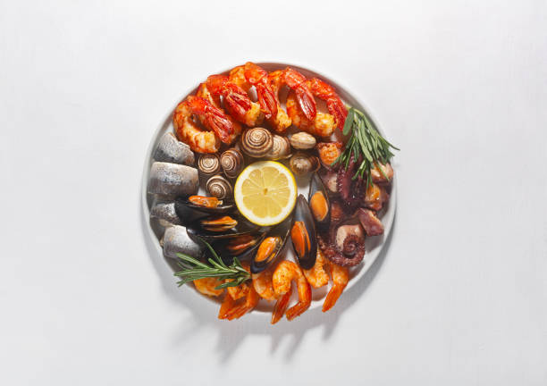 Seafood charcuterie platter board with shrimp, oysters, fish and octopus on a white concrete background