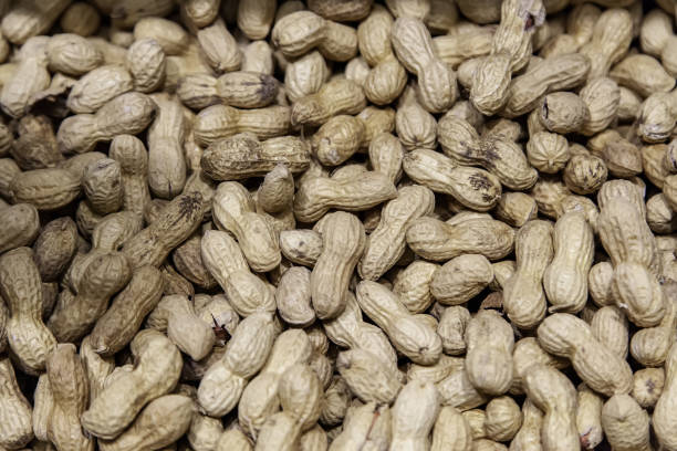 orzeszki ziemne w sklepie - peanut legume textured effect fat zdjęcia i obrazy z banku zdjęć