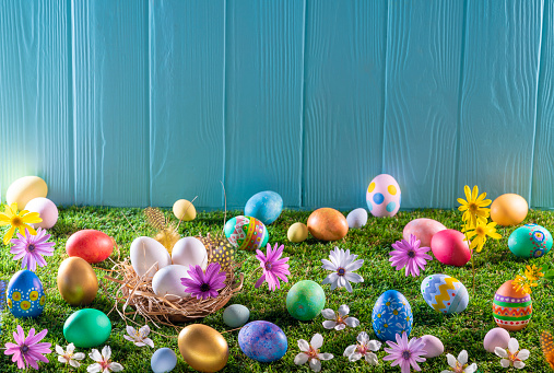 Easter eggs nest on turf grass and blue wooden wall with spring vivid flowers