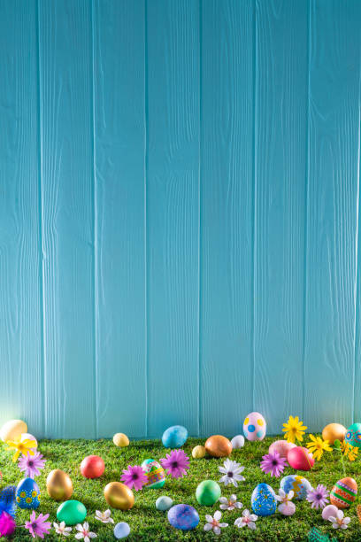 uova di pasqua su erba erbosa e parete di legno blu con fiori primaverili - surrounding wall holidays and celebrations nature wall foto e immagini stock