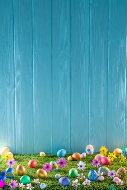 Easter eggs on turf grass and blue wooden wall with spring vivid flowers
