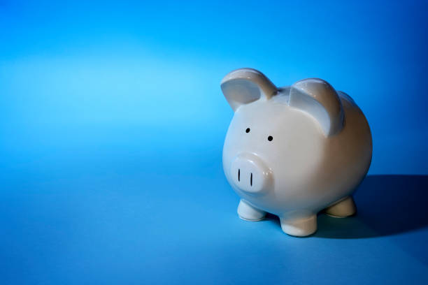 istock Large White Piggy Bank on Blue Background 1303727815