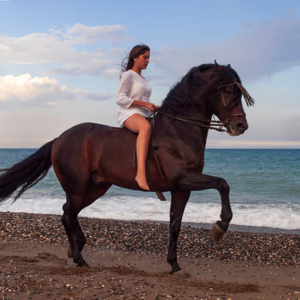 istock Beautiful horseback rider on the beach 1303728572