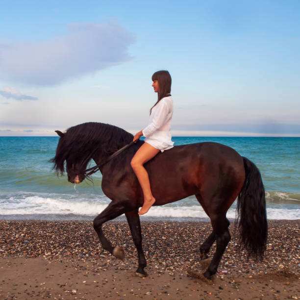 istock Beautiful horseback rider on the beach 1303728585