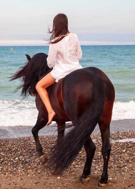istock Beautiful rider with her horse on the beach 1303728593