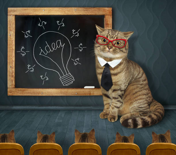 istock Cat coach teaches to make money 1303732998