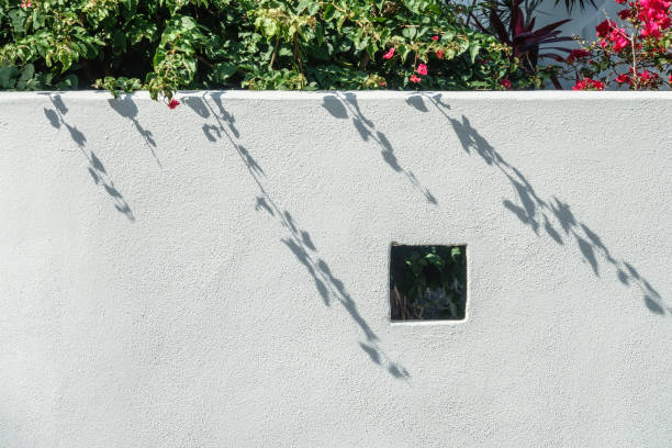 Long shadows of branches on flowering tree behind square designer hole in white stucco privacy wall by street in an urban neighborhood in west central Florida