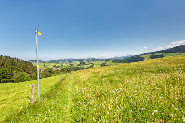 Hiking sign in Appenzell region Switzerland Hiking sign in Appenzell region Switzerland appenzell innerrhoden stock pictures, royalty-free photos & images