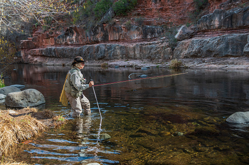 A senior woman fly fishing in the cold waters of Oak Creek, just north of Sedona, Arizona.  The creek runs through a canyon carved out of rock.