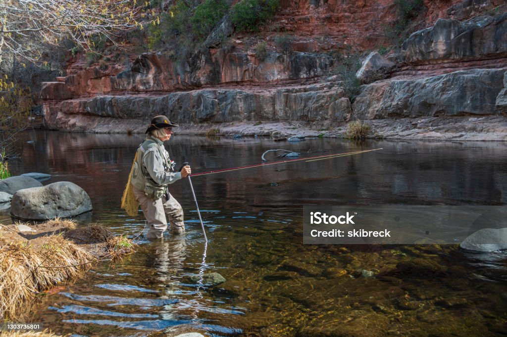 Senior Woman Flyfishing In Oak Creek Sedona Arizona Stock Photo - Download  Image Now - iStock