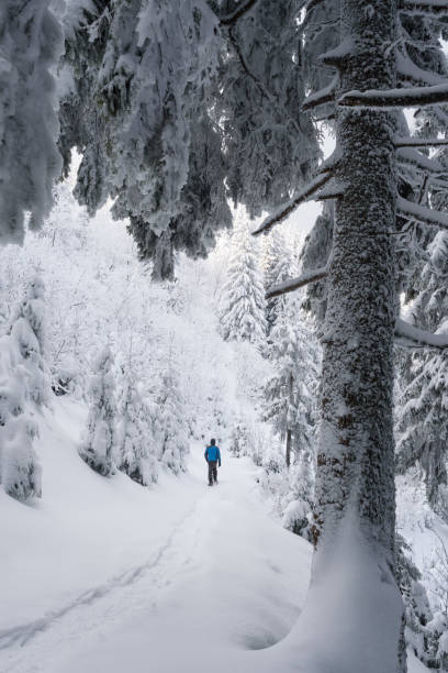 istock Winter hike after snowfall in the mountains 1303737134