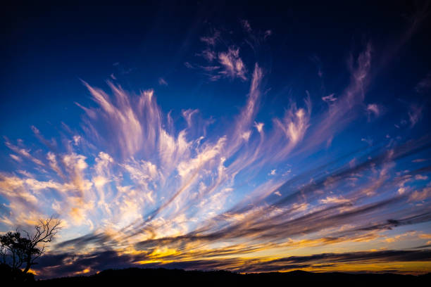 istock Gundagai, NSW, Australia 1303737701