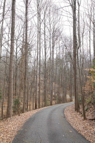 istock The Road Home in Winter 1303738028