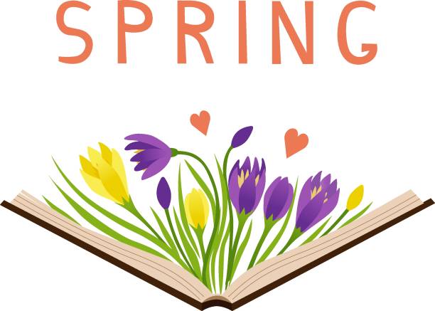 ein offenes buch mit gelben und lila krokussen und text - crocus blooming flower head temperate flower stock-grafiken, -clipart, -cartoons und -symbole