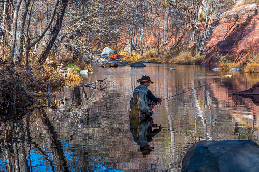 A senior woman fly fishing in the cold waters of Oak Creek, just north of Sedona, Arizona.  The creek runs through a canyon carved out of rock.