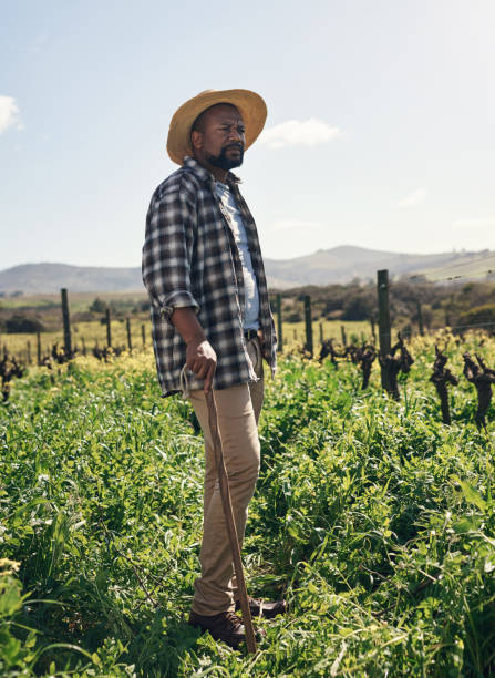 istock A farmer's days are filled with hope 1303739123