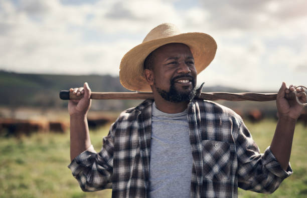 istock Farms, the source of all food 1303739157