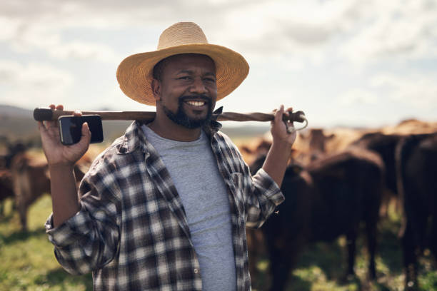 istock You won't find me without my herd 1303739165