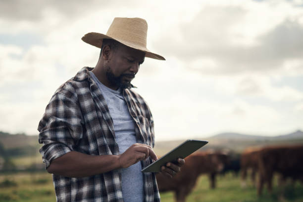 istock Keeping the herd on track with one tap 1303739172