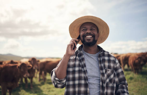 istock Call him for the best cattle in agribusiness 1303739193