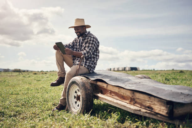 istock If anything revolutionised the agricultural industry, it's digital technology 1303739198