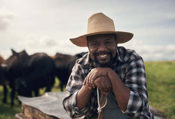 istock My cows were grass fed before it was cool 1303739208