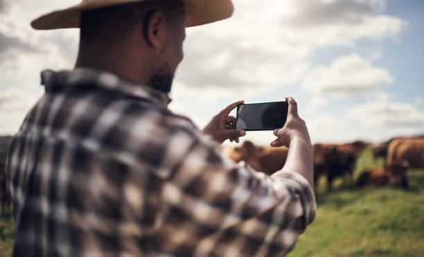 istock Who's in the mooood for a photo shoot? 1303739232