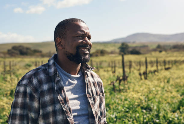 istock Rise and shine, it's harvesting time 1303739233