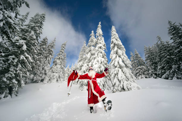 Santa Claus on snowshoes. Self-portrait: A snowy forest in Lapland, where the legendary Santa Claus lives, to carry a bag of gifts for children and adults on New Year's skis or snowshoes across the mountains and plains. snowshoeing snow shoe red stock pictures, royalty-free photos & images