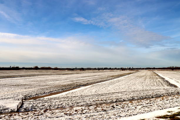 istock Snow on the meadows in the Zuidplaspolder 1303740425