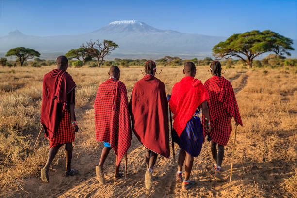 Group of Maasai warriors going back to village, Kenya, Africa Group of Maasai warriors going back to village, central Kenya, Africa. Mount Kilimanjaro on background, Southern Kenya, Africa. Maasai tribe inhabiting southern Kenya and northern Tanzania, and they are related to the Samburu. kenyan man stock pictures, royalty-free photos & images