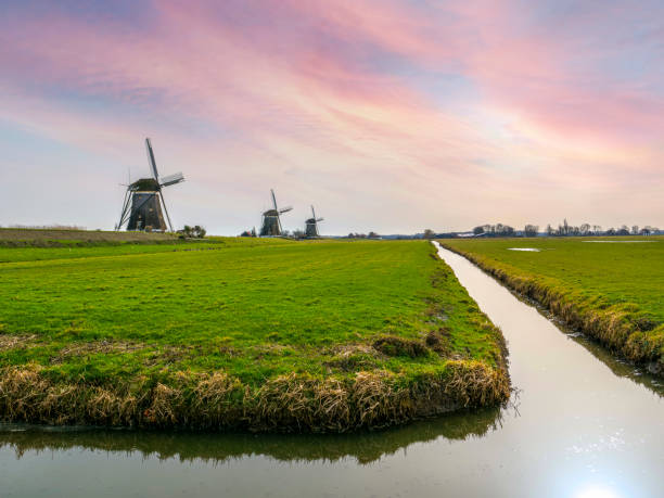 아침에 풍차 - tranquil scene windmill netherlands dutch culture 뉴스 사진 이미지