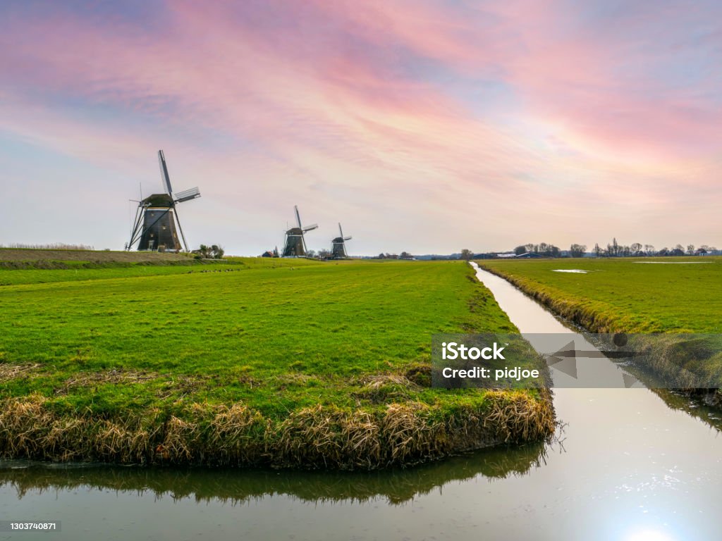 windmills in the morning three traditional windmills at dusk on  dyke, meadow in front, early morning. The Netherlands. Rotterdam Stock Photo