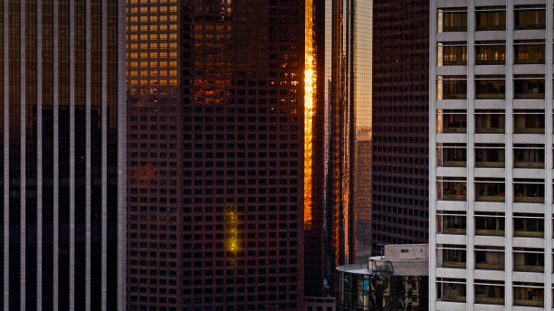 istock Office Windows in DTLA - Aerial 1303742052