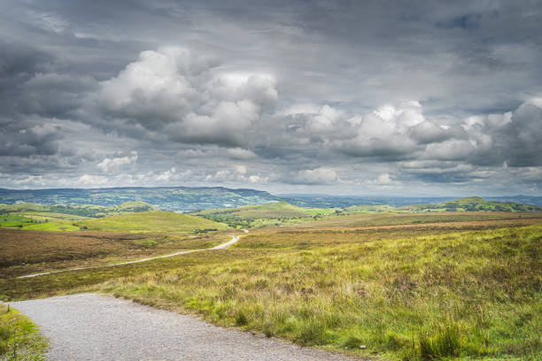 istock Footpath winding between green hills and peatbog in Cuilcagh Mountain Park 1303742350