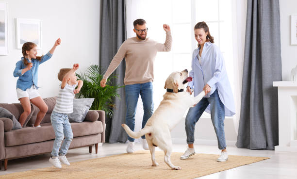 famille gaie avec des gosses et la danse de crabot à la maison - dog family indoors child photos et images de collection