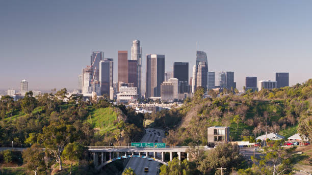 istock Downtown Los Angeles Skyline Viewed from Elysian Park - Aerial 1303750364