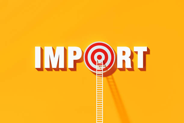 istock Import Concept - White Ladders Leaning On To Import Written Bull's Eye Target on Blue Wall 1303751931
