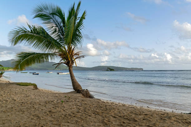 istock Paradise on the Caribbean beach 1303753159
