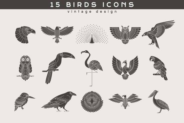 Vintage thin line bird label Set of vintage birds icons. Vintage design vector illustration, logo and badge, emblem and insignia, sign and identity, logotype. pics for toucan flying stock illustrations