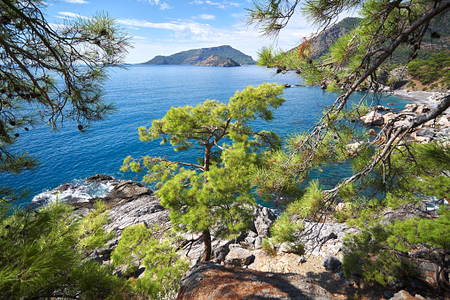 View from the mountain to the blue Mediterranean Sea and pine-tree, mountain slopes, near Fethiye-Turkey