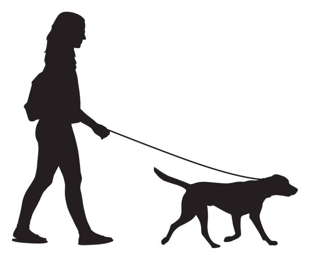 Girl Walking Her Dog Silhouette Vector silhouette of a girl walking her dog. dog walking stock illustrations