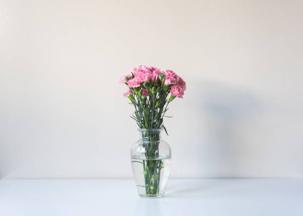 istock Pink carnations in glass vase on shelf with afternoon light 1303755691