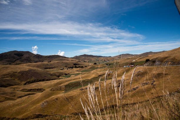 istock Colombian landscape with onion plantations 1303761511
